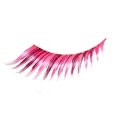 Feathered Eyelashes