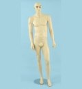 Mannequin - Male